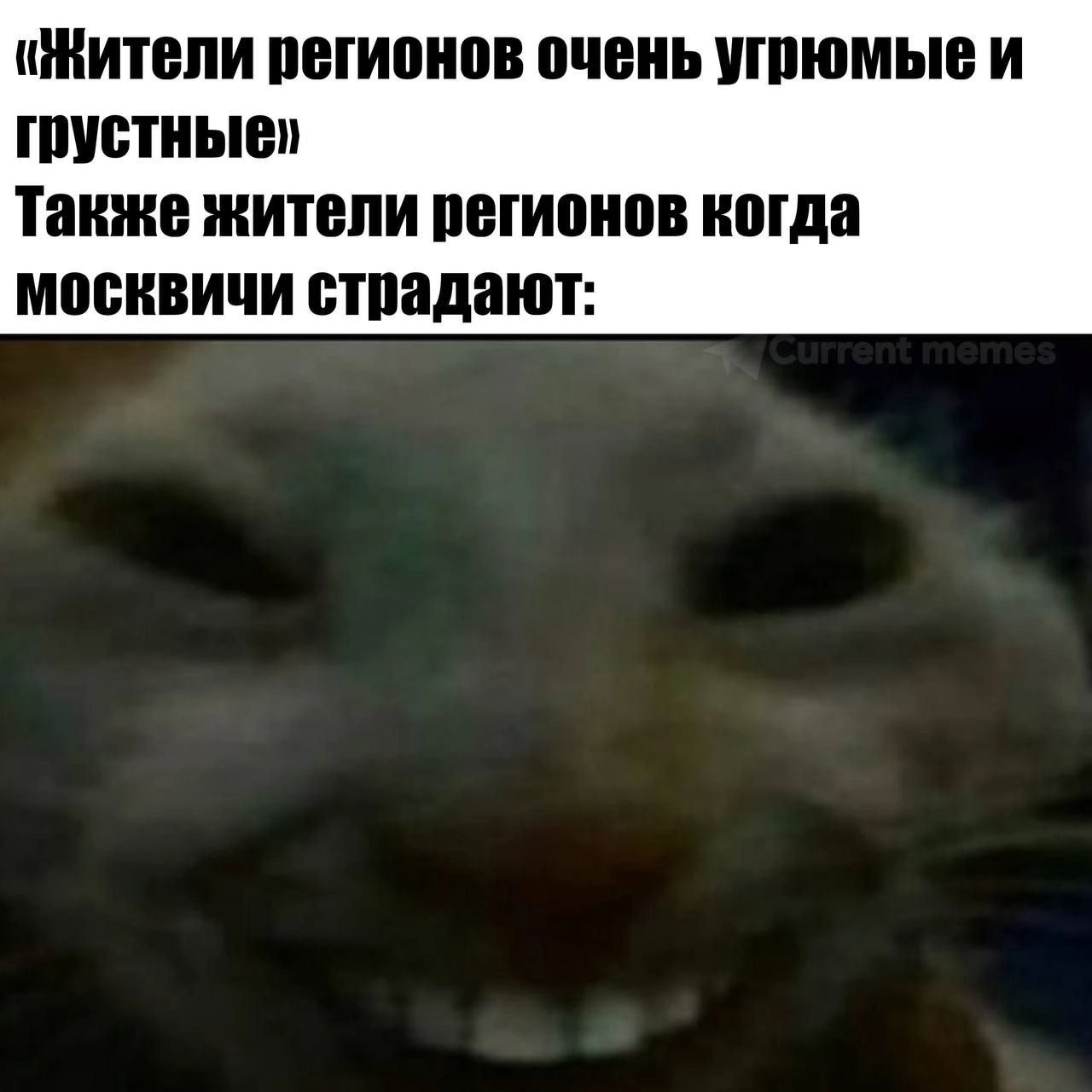 1280x1280