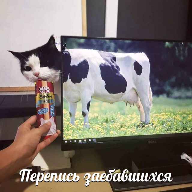 640x640