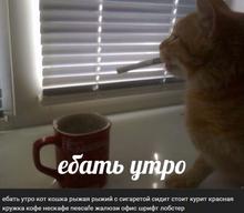 526x461
