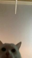640x1138