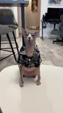 360x640