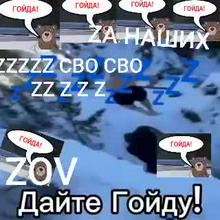 320x320