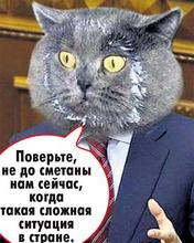 320x399