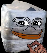 545x611