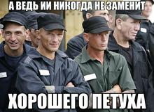 1200x880